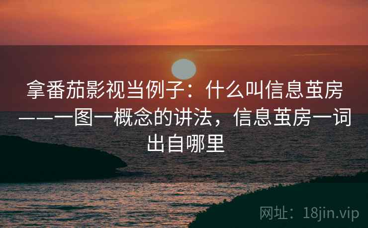 拿番茄影视当例子：什么叫信息茧房——一图一概念的讲法，信息茧房一词出自哪里